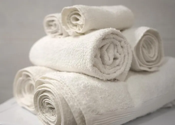 Apartment Brigitte Brașov